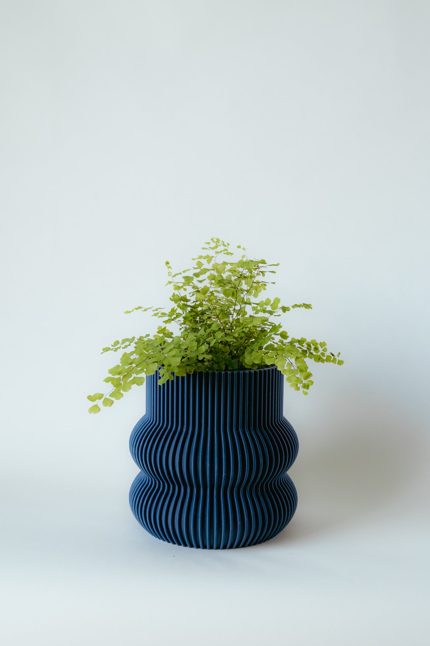 Ribbed Curvy Pot
