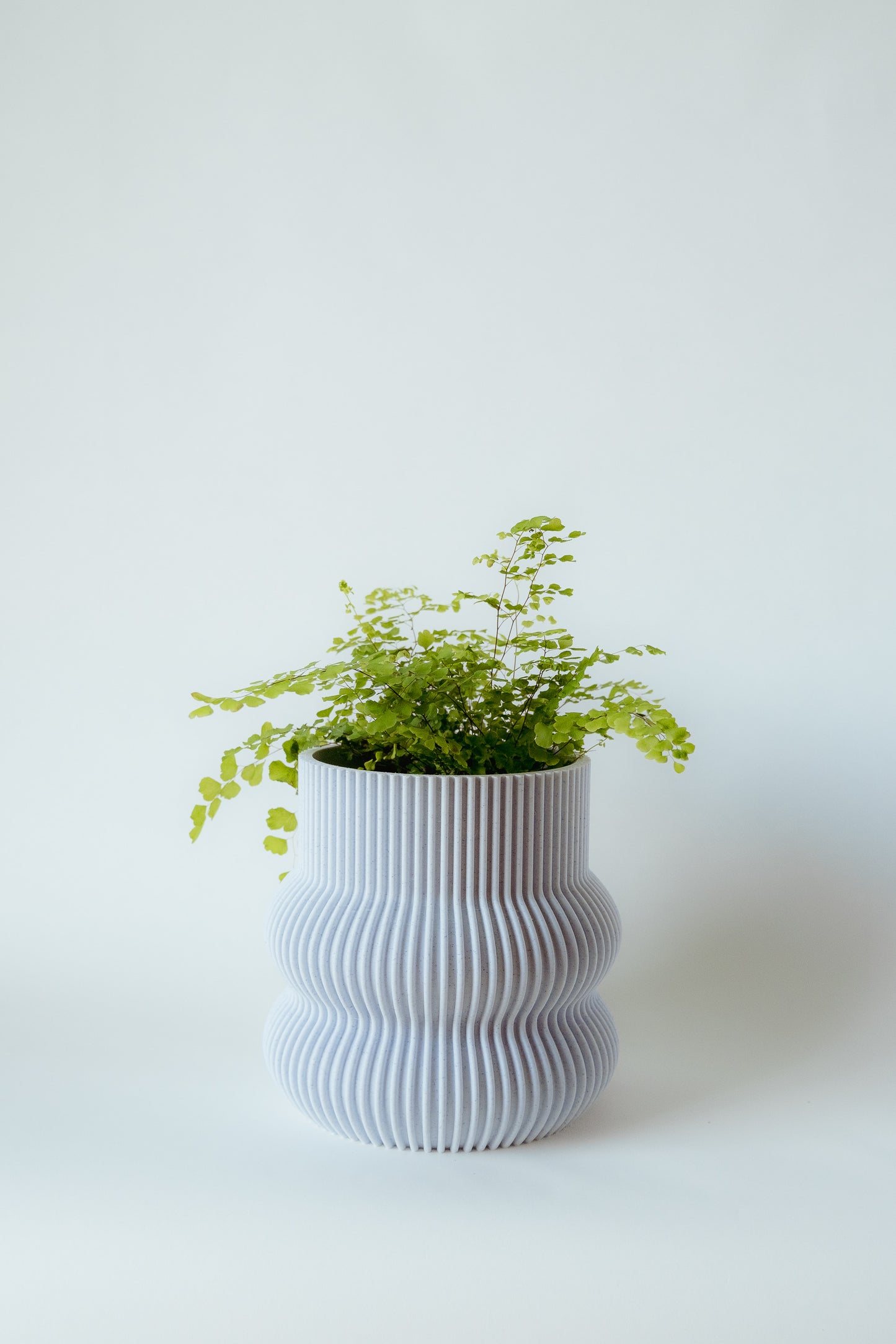 Ribbed Curvy Pot