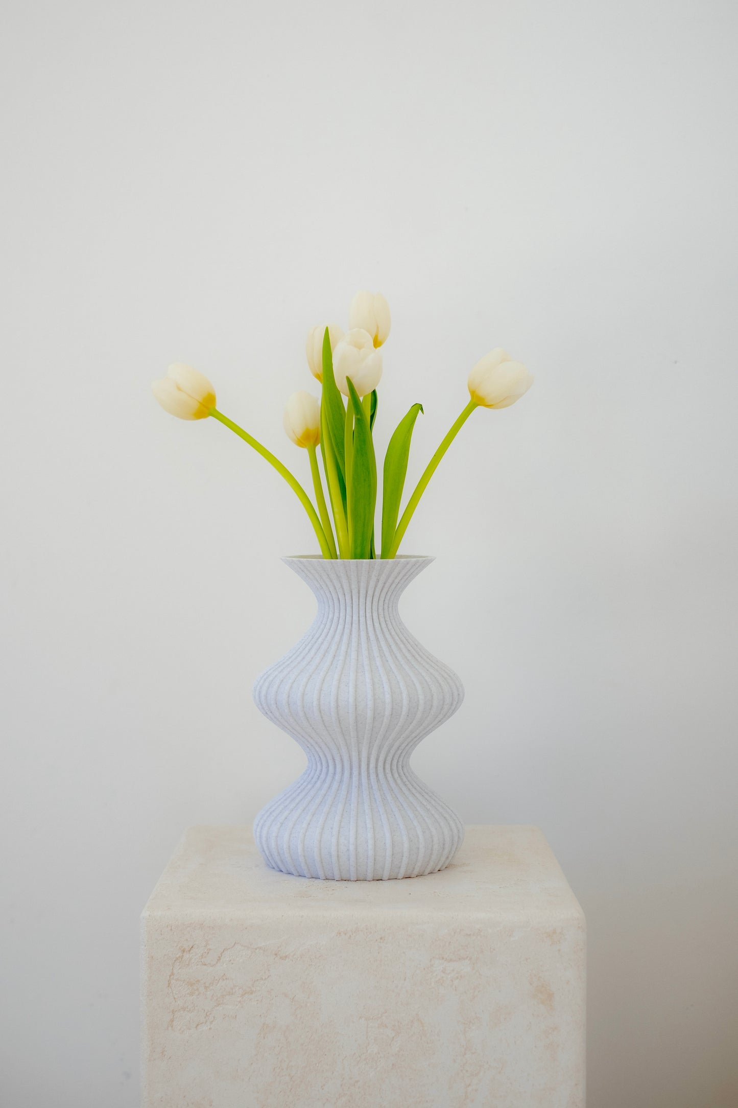 Illusion Vase