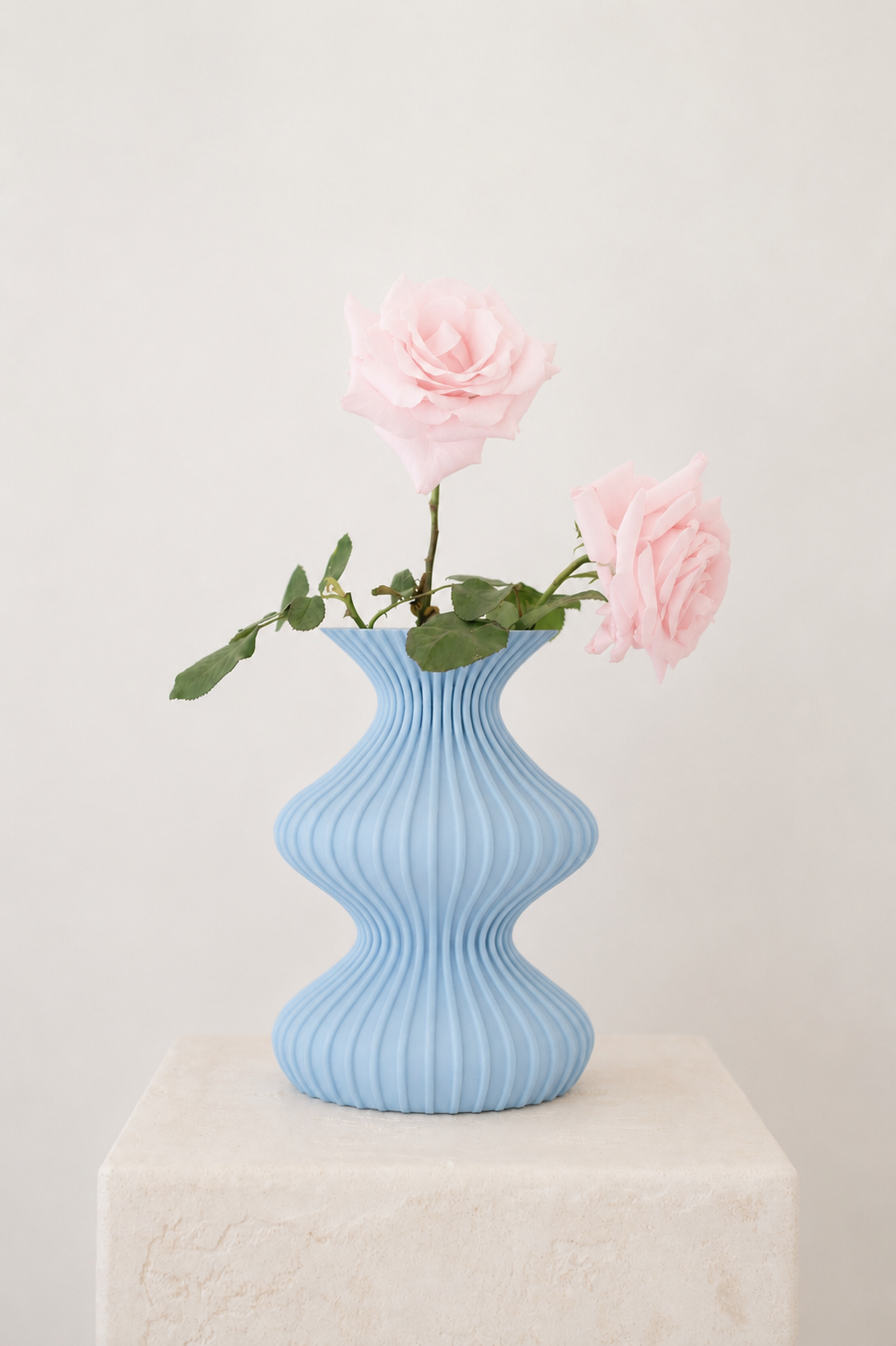 Illusion Vase