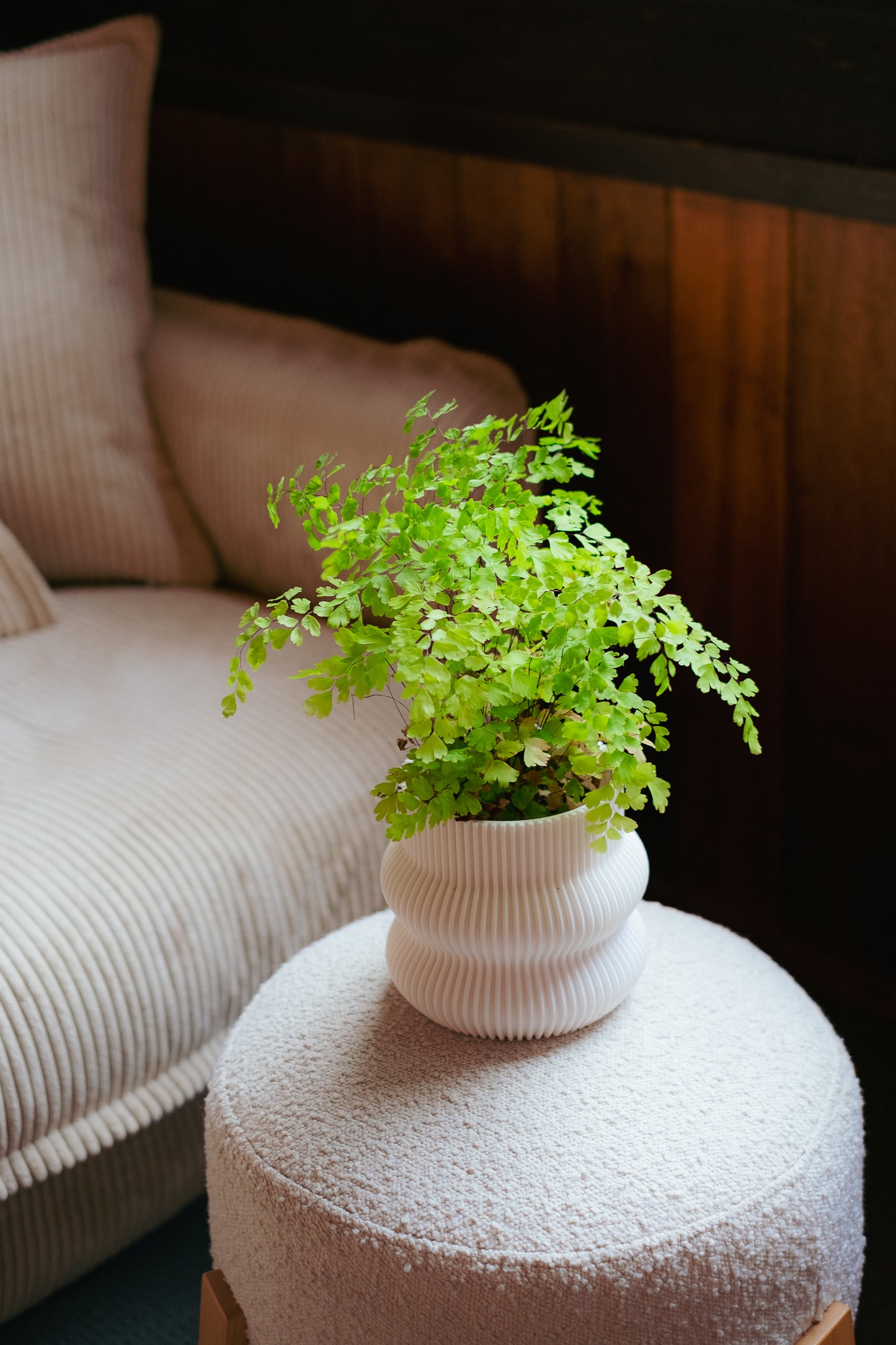 Ribbed Curvy Pot