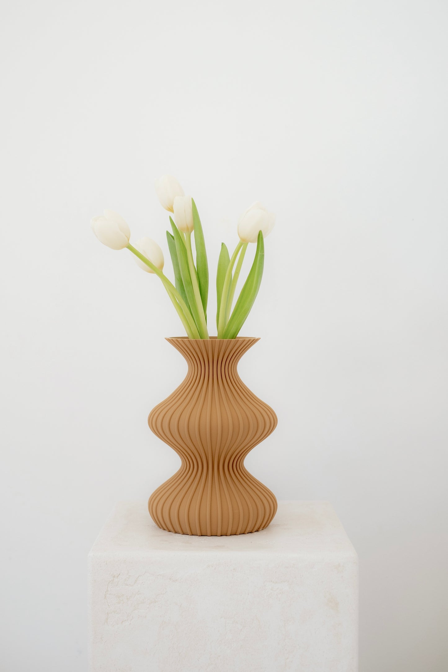 Illusion Vase