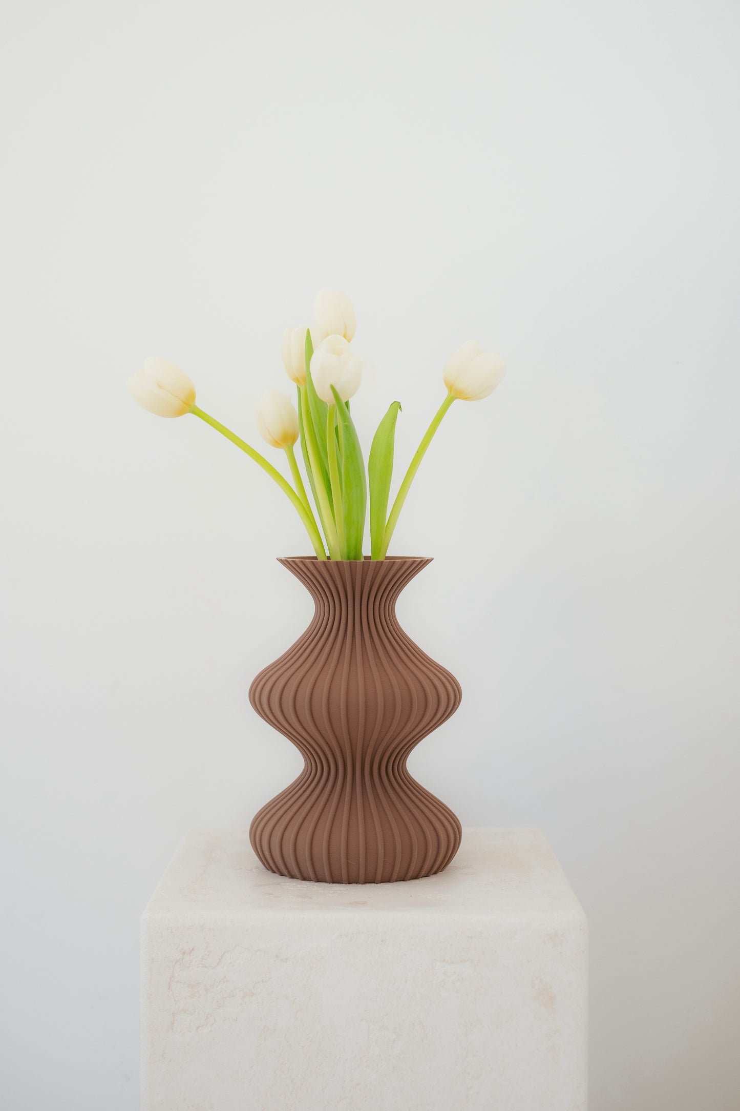 Illusion Vase