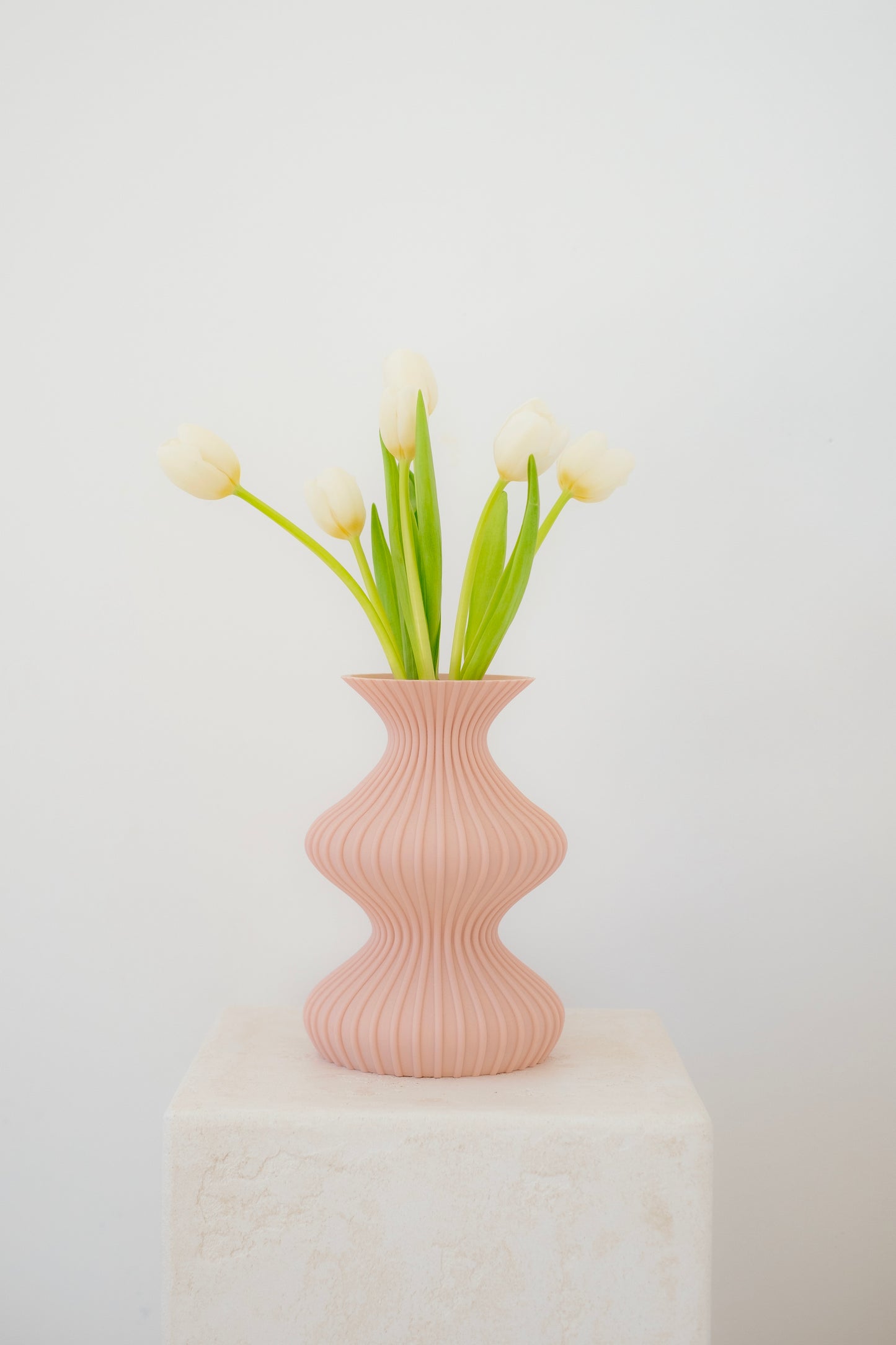 Illusion Vase