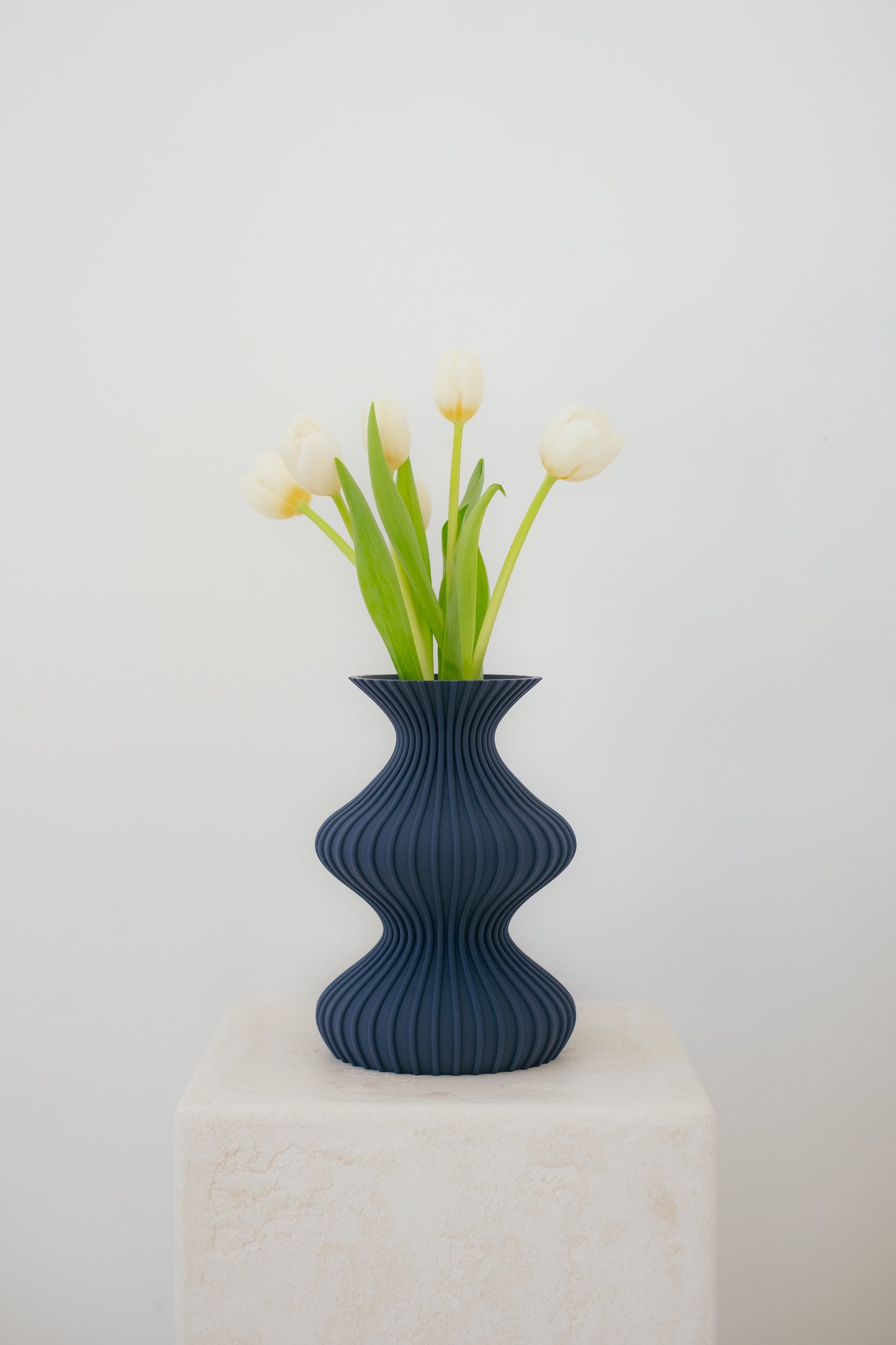 Illusion Vase