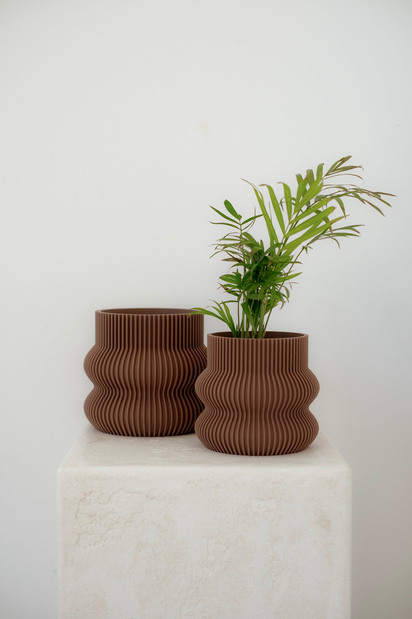 Ribbed Curvy Pot