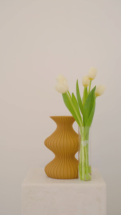 Illusion Vase